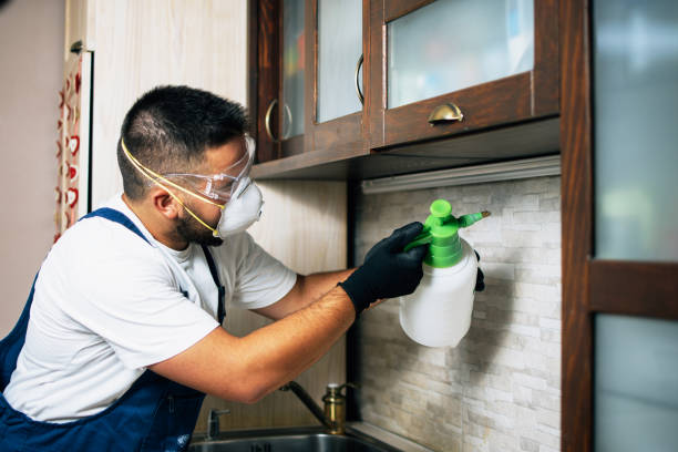 Best Insect Control  in Bradford Woods, PA